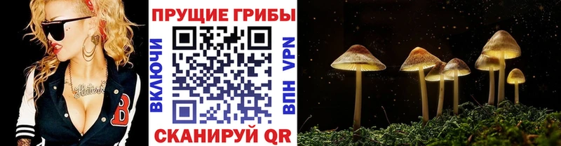 Псилоцибиновые грибы ЛСД Ишим