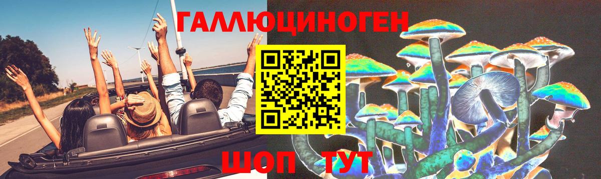 Галлюциногенные грибы Cubensis  Вход с VPN  Ишим 