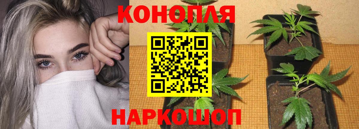 Конопля  Ишим  Вход с VPN  Мефедрон кристаллы  ГАШ  МЕТАМФЕТАМИН 